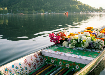 Kashmir Dal Lake Shikara